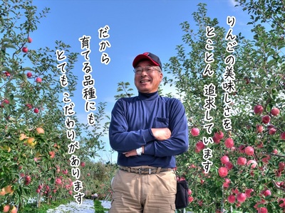 りんご きみと 訳あり ヒバリノ園 青森県産 りんご【約5kg 10〜16玉】