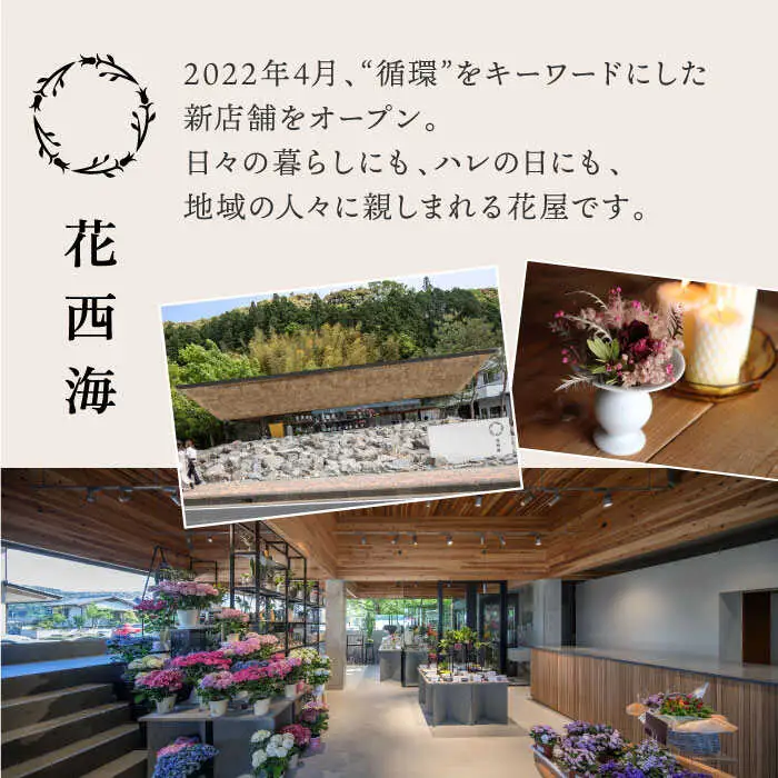 【波佐見焼】オリジナル 花器「リリー大（ピンクベージュ）」と季節の ドライフラワー のセット【Atelier Bisque × 花西海 】[JF05] 波佐見焼 食器