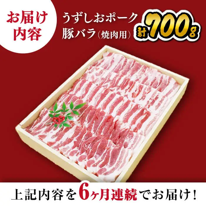 【6回 定期便 】 焼肉 長崎うずしおポーク 豚バラ 700g 訳あり＜スーパーウエスト＞[CAG021] 焼肉