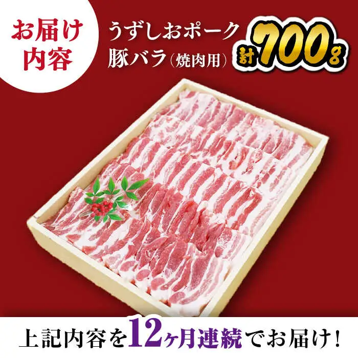 12回定期便 国産豚 バラ焼肉 700g 訳あり CAG022 焼肉