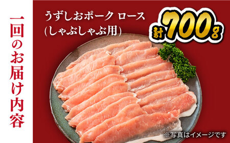 6回定期便 国産豚 しゃぶしゃぶ用 700g 訳あり CAG029 豚肉 しゃぶしゃぶ用 豚肉