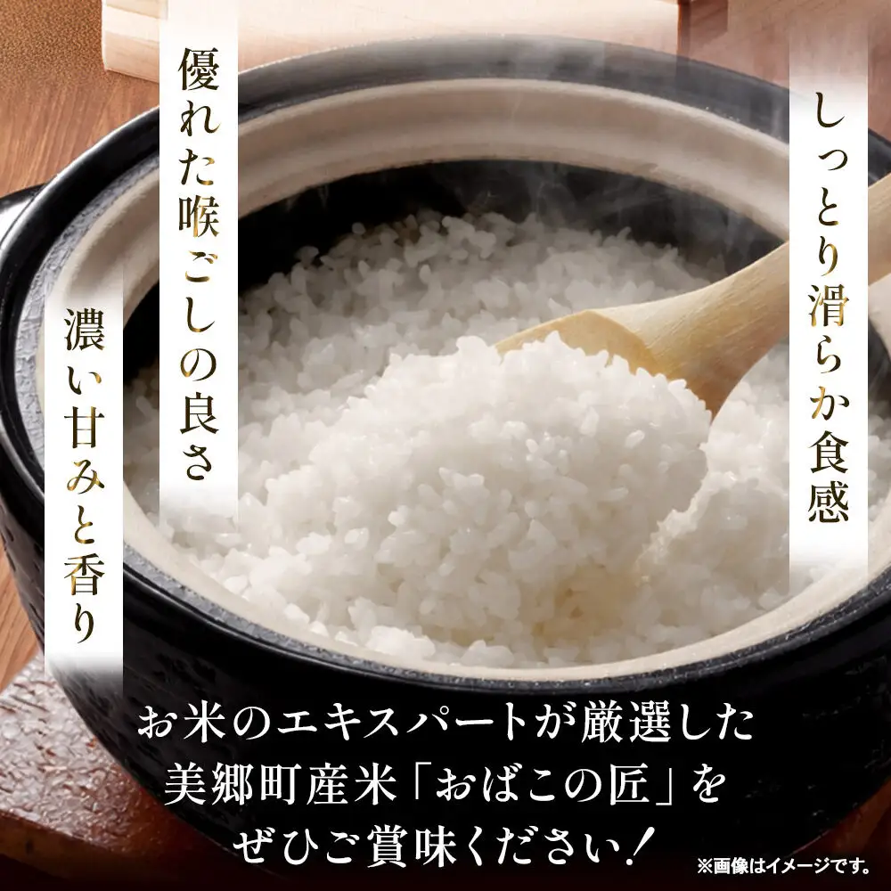 令和7年産 おばこの匠 秋田県産あきたこまち 5kg（白米）5kg袋 秋田こまち お米