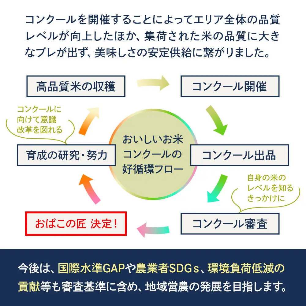 令和7年産 おばこの匠 秋田県産あきたこまち 10kg（玄米）5kg袋 秋田こまち お米