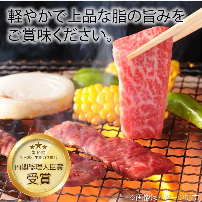 【3回定期便】長崎和牛 赤身 焼肉（モモ・ウデ）食べ比べ ＜株式会社 黒牛＞ [CBA115]