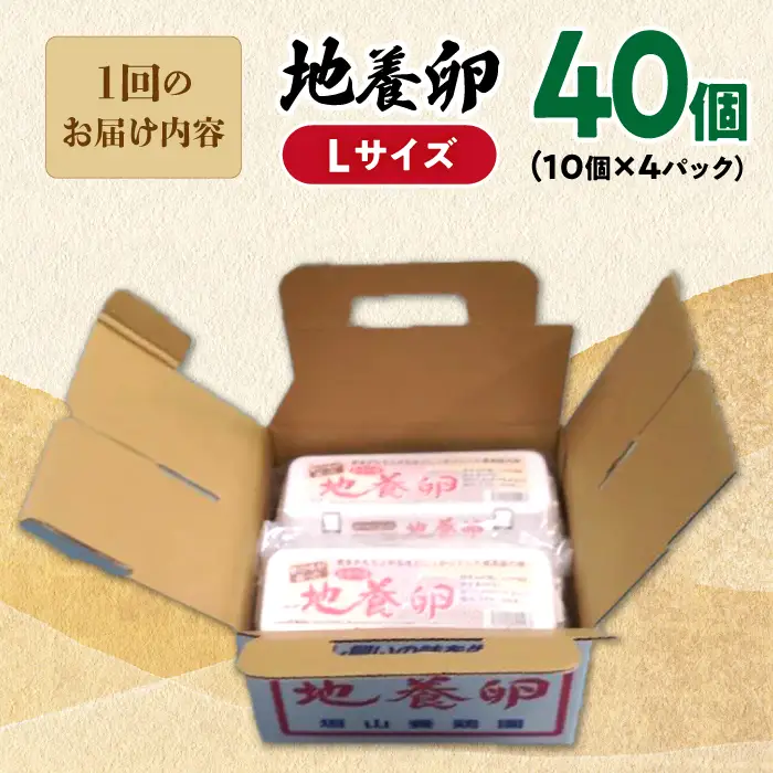 12回定期便 卵 Lサイズ 40個 | CBB004 卵