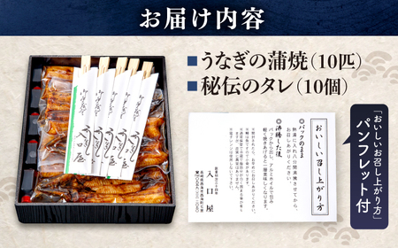 うなぎ 10尾 CCA007 海鮮 鰻 うなぎ