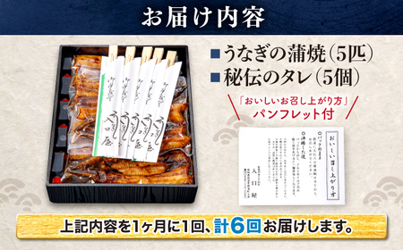 6回定期便 国産 うなぎ 5尾 CCA012 海鮮 鰻 うなぎ 贈答 ギフト ウナギ