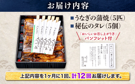 12回定期便 国産 うなぎ 5尾 CCA013 海鮮 鰻 うなぎ 贈答 ギフト ウナギ 鰻 