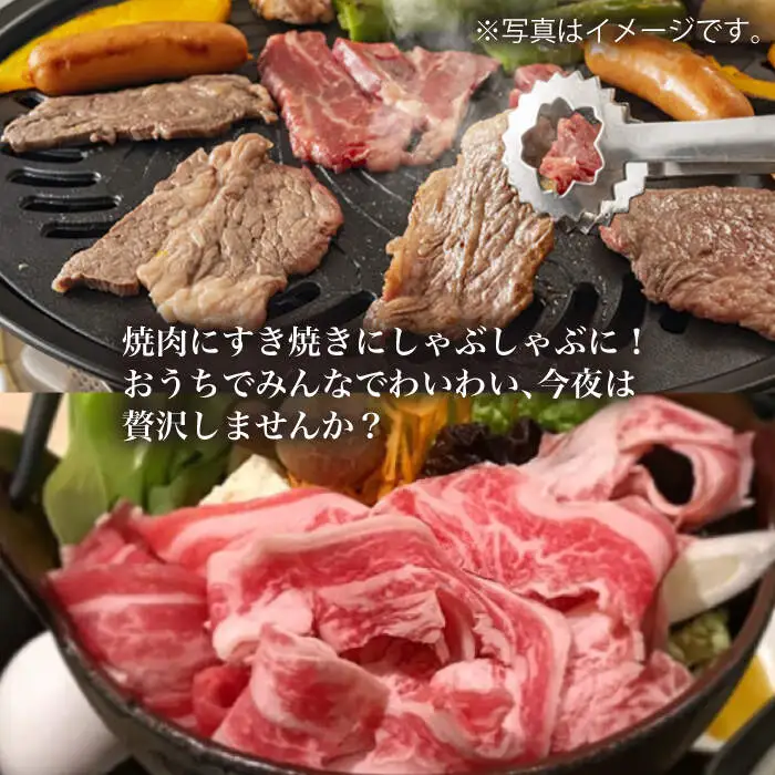 【3回定期便】【訳あり】長崎和牛 ロース食べ比べ 約1000g（焼き肉用、すき焼き・しゃぶしゃぶ用各約500gずつ）×3回定期便＜大西海ファーム＞ [CEK156]