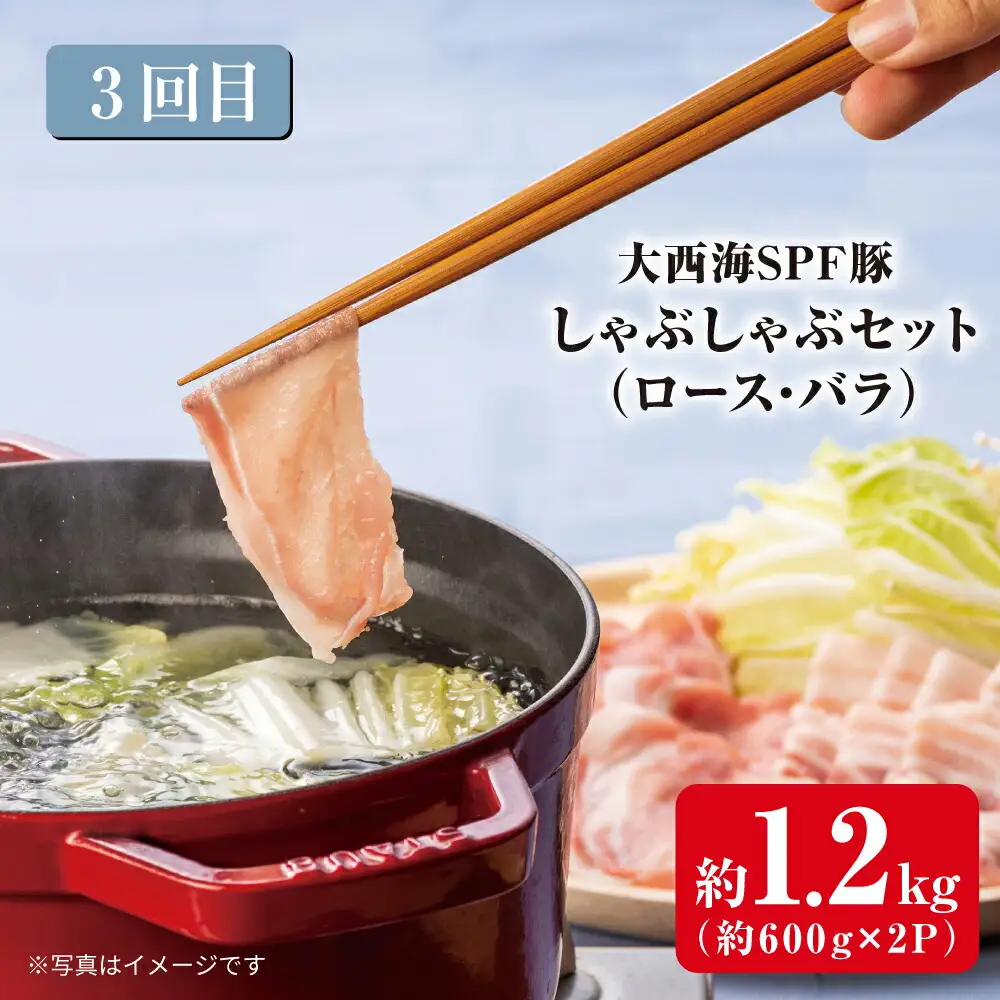 3回定期便 大西海SPF豚 便利 3種セット 総計4.2kg 訳あり ＜大西海ファーム＞ [CEK182] 定期便