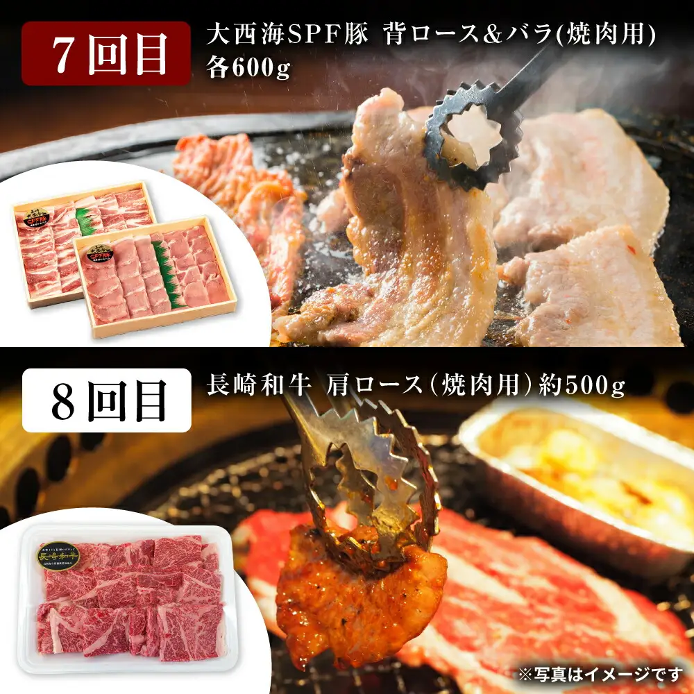 【オールスター定期便☆】【12回定期便】 長崎和牛 大西海SPF豚 定期便  訳あり ＜大西海ファーム＞ [CEK186]