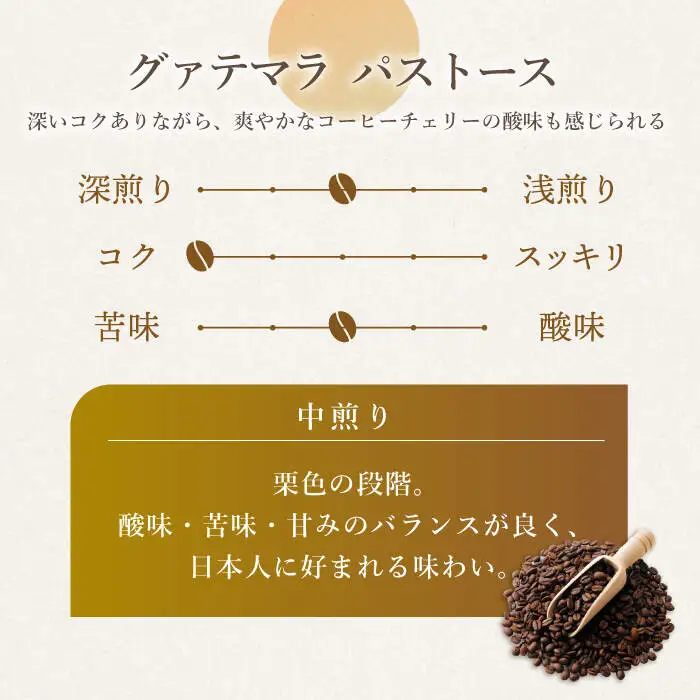【飲み比べ】 ドリップバック 自家焙煎 コーヒー 100袋（5種類×20袋） ＜giko coffee＞ [CFK010]コーヒー 自家製コーヒー