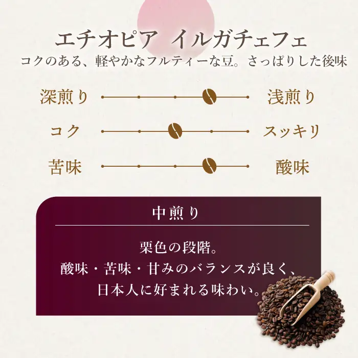 【粉タイプ】自家焙煎 コーヒー 4種類 各1袋＜giko coffee＞ [CFK042]