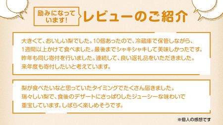 梨 豊水 約10kg 20～32個【2026年9月より発送開始】（茨城県共通返礼品 [梨]：大子町産）
