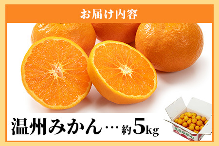 先行受付＼農家直送＆鮮度抜群！／収穫後3日以内発送・松本農園の温州みかん 約5kg 有明海の潮風で育った鹿島産みかん｜フレッシュ｜佐賀県鹿島市 送料無料 B-530