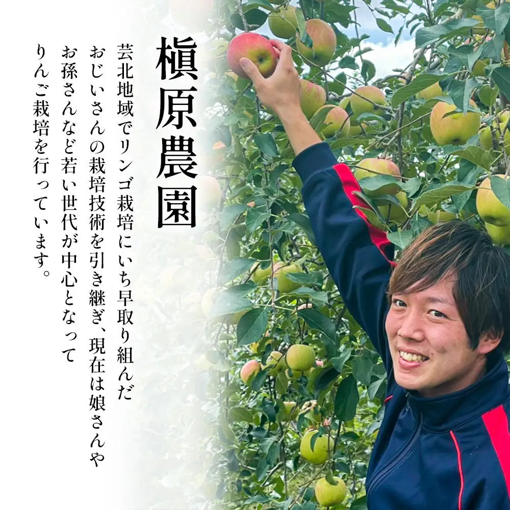 ≪10月中旬以降発送≫りんご 訳あり ご家庭用 約5kg 槇原農園の芸北りんご 農家直送 トキ 早生ふじ 千秋 シナノドルチェ シナノスイート ぐんま名月 シナノゴールド ふじ_MA077_002