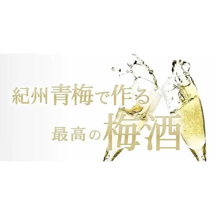 南高梅【緑】3kg 大サイズ 梅酒用 フレッシュ青梅 (生梅) ／紀伊国屋文左衛門本舗