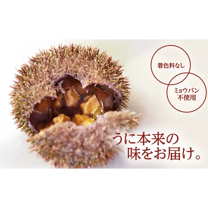 礼文産 エゾバフンウニ 折詰 200g×1 うに