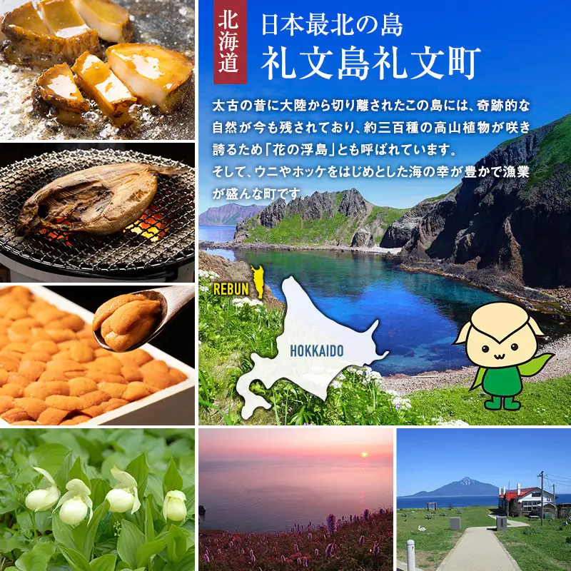 北海道産 新巻鮭 (1本 切り身) 約3kg［株式会社やまじょう］【 鮭 サケ さけ 新巻鮭 切り身 秋鮭 銀毛 半身 急速冷凍 焼き魚 おかず ご飯のお供  】