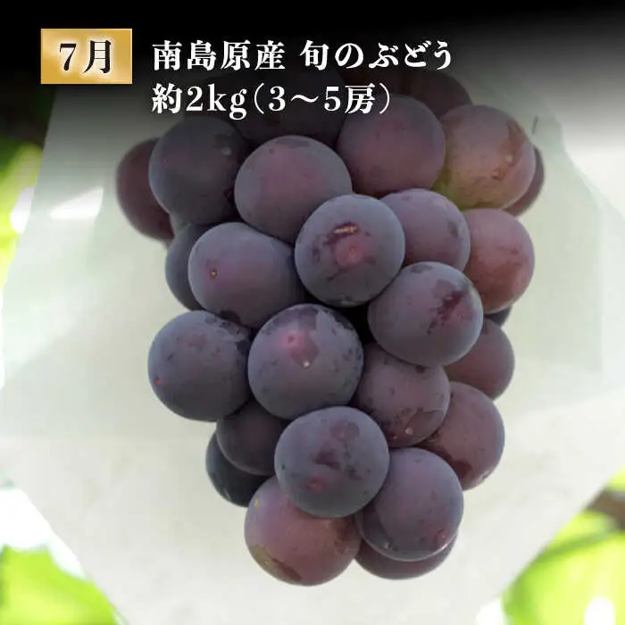 【創業108年の老舗店バイヤーセレクト！】南島原自慢の逸品 プレミアム 12回定期便 Aコース / 長崎 和牛 ふぐ チーズケーキ そうめん ぶどう 梨  定期便 / ながいけ [SCH042]