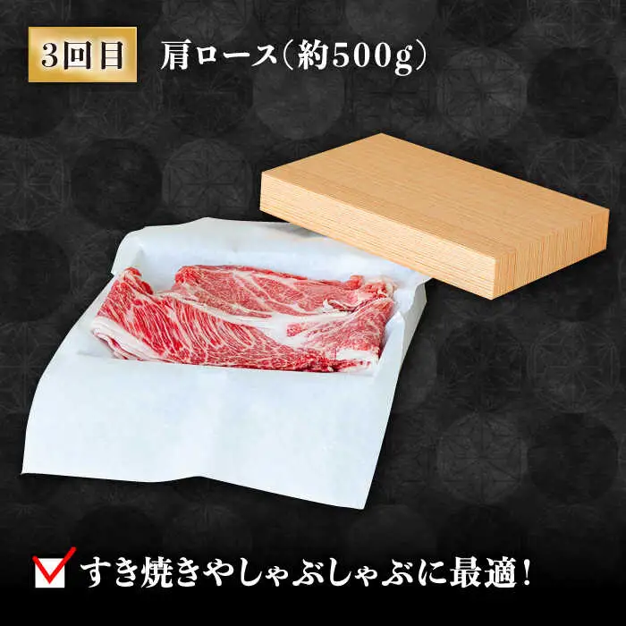 【豪華4回定期便】長崎和牛 食べ比べ / ヒレ サーロイン ロース シャトーブリアン / 南島原市 / ながいけ [SCH045]