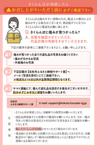 【2027年先行予約】完熟大玉・さくらんぼ（2～3Lバラ 約700g） さくらんぼ [h039]