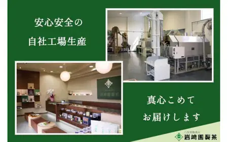 プチギフト・お配り用にも 八女茶100％ 個包装ティーバッグ 2.5g×50個 　「ほんのきもちです」　＜岩崎園製茶＞　075-033