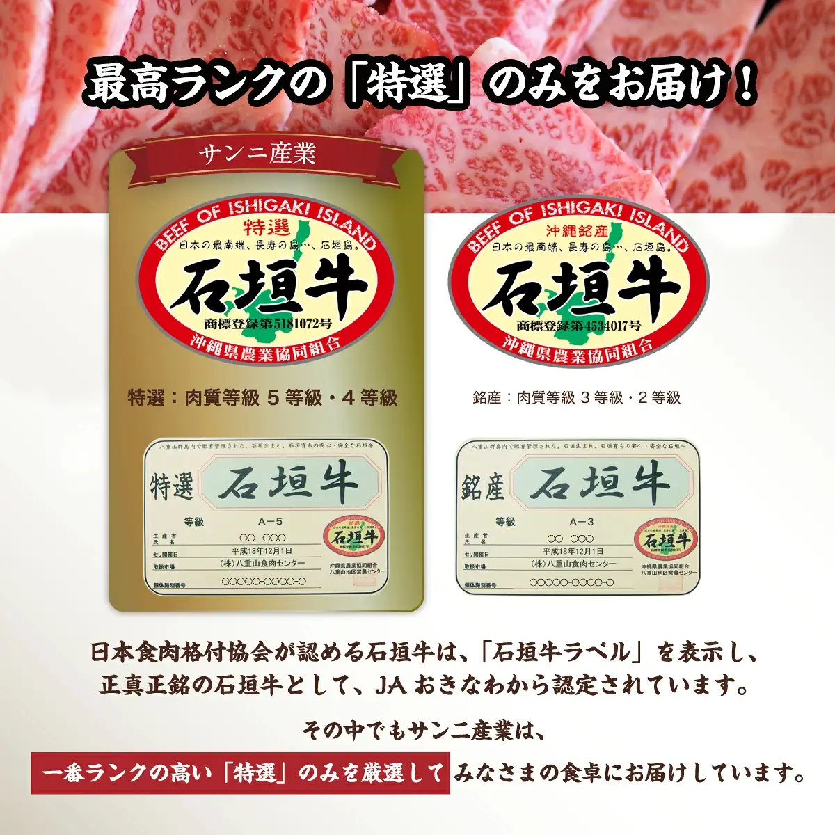 石垣牛 ハンバーグ セット (100g×10個)＜2026年10月発送＞