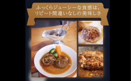 常陸牛入り ひまわりハンバーグ A73-005