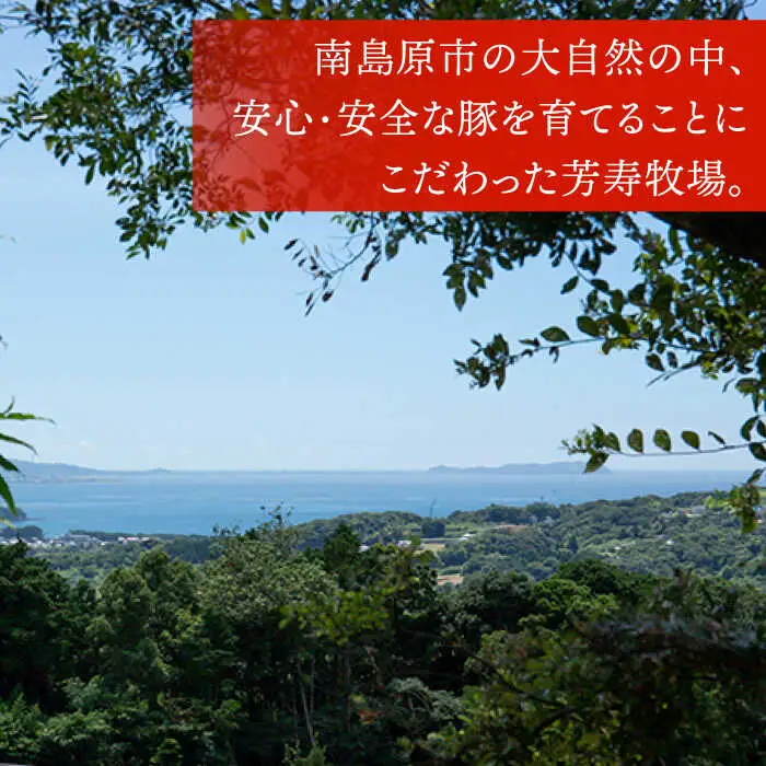 芳寿豚 とんかつ用ロース 1500g 南島原市 / 芳寿牧場 [SEI031]