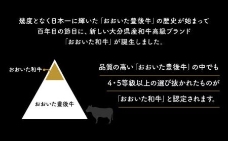 ステーキ おおいた和牛ロースステーキ180g×2枚 | 豊後高田市 