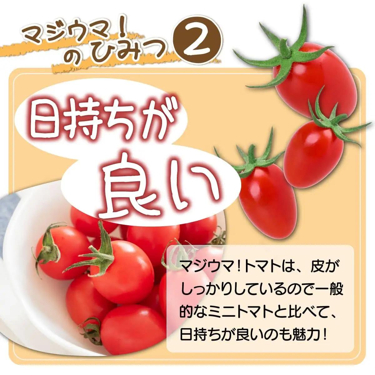 【2026年先行予約】北海道 伊達 岡本園芸 ミニトマト 高糖度 約2kg【マジウマ！トマト】