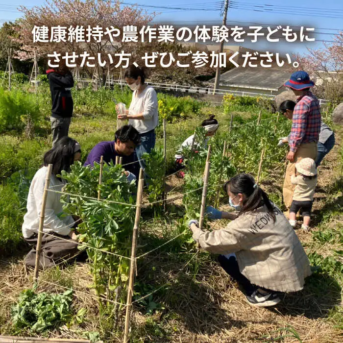 【ふるさと納税】糸島で農業体験(3名) 栽培期間中農薬不使用 無化学肥料 無除草剤の畑で野菜のお世話体験！ [AAL003]
