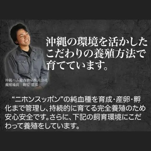 【オキハム】自社養殖！すっぽん軟骨ソーキ（レトルト4袋）