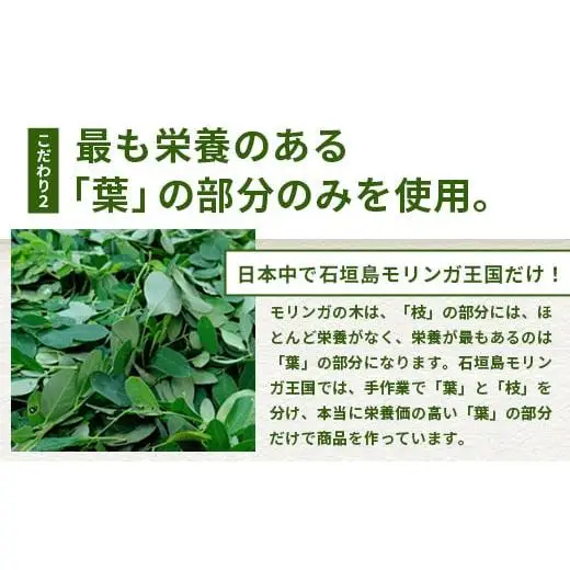  モリンガ茶（ティーパック）MR-1-1