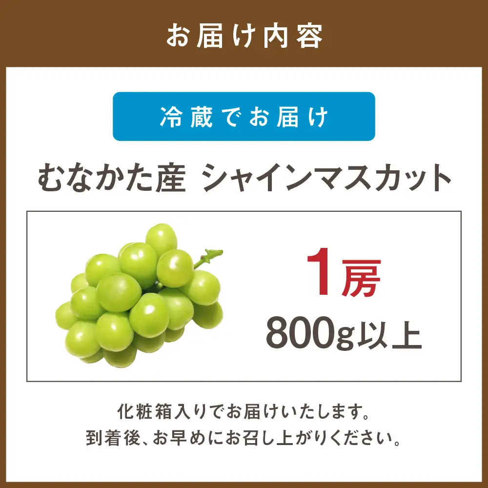 JAむなかた厳選【むなかた産シャインマスカット】1房(800ｇ以上)【JAほたるの里】_HA0913