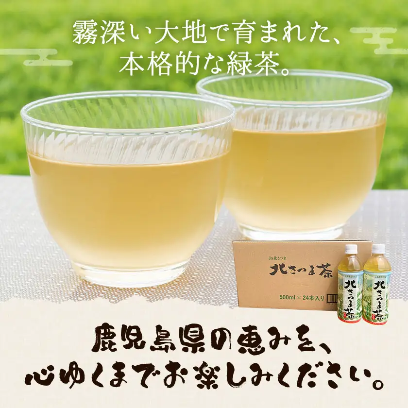 北さつま茶 500ml×24本 北さつま農協《30日以内に出荷予定(土日祝除く)》