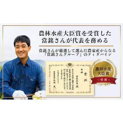 YK-7 當銘さんの完熟カットパイン３袋＆石垣産カットマンゴー２袋（計：１．２５ｋｇ）パイナップル マンゴー