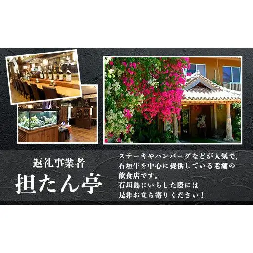 TA-2 石垣牛サーロインステーキ200g×2枚