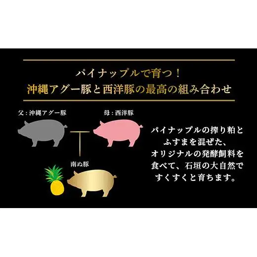 石垣島産 やえやまファームのアグ―豚（南ぬ豚）ベーコン・ソーセージセット E-2