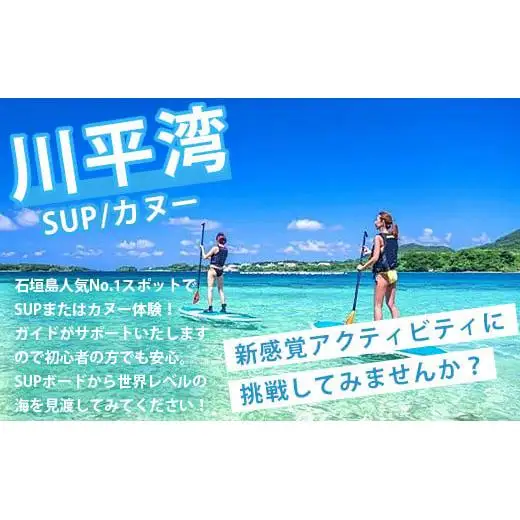 石垣島の自然を満喫！石垣島1日アクティビティ (利用券 1名様分) NS-2