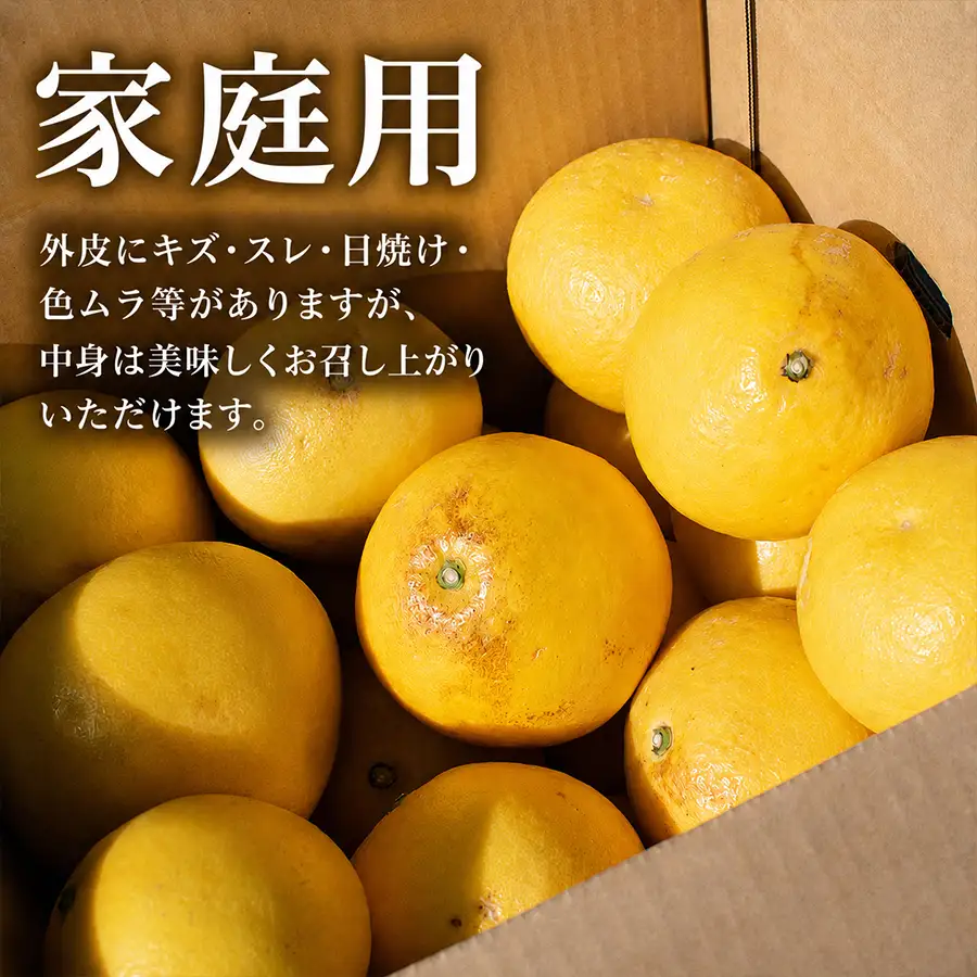 【家庭用大満足の10kg！】温暖な気候が育んだ土佐文旦