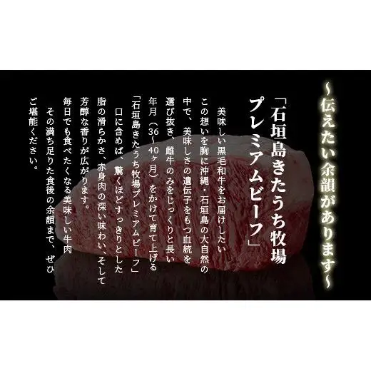 特製レトルトビーフシチュー 5個【総重量1.1Kg】 AM-20