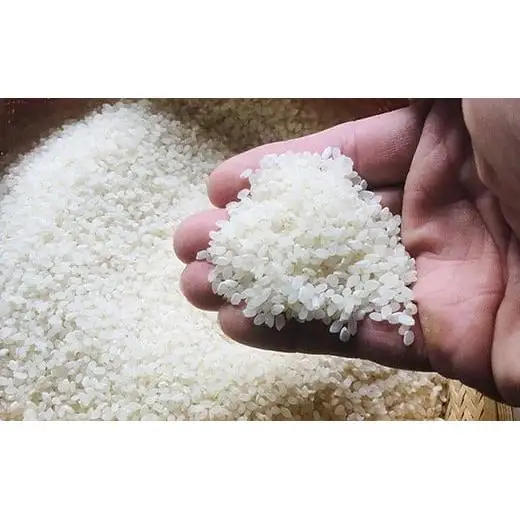石垣島産 星の美(かい)しゃ 5kg みやぎ米屋　MK-3 
