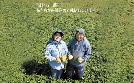 ヘリオス酒造【沖縄初、日本最南端の本格いも焼酎】『紅一粋－べにいっすい』25度　1800ml【兼用箱入り】