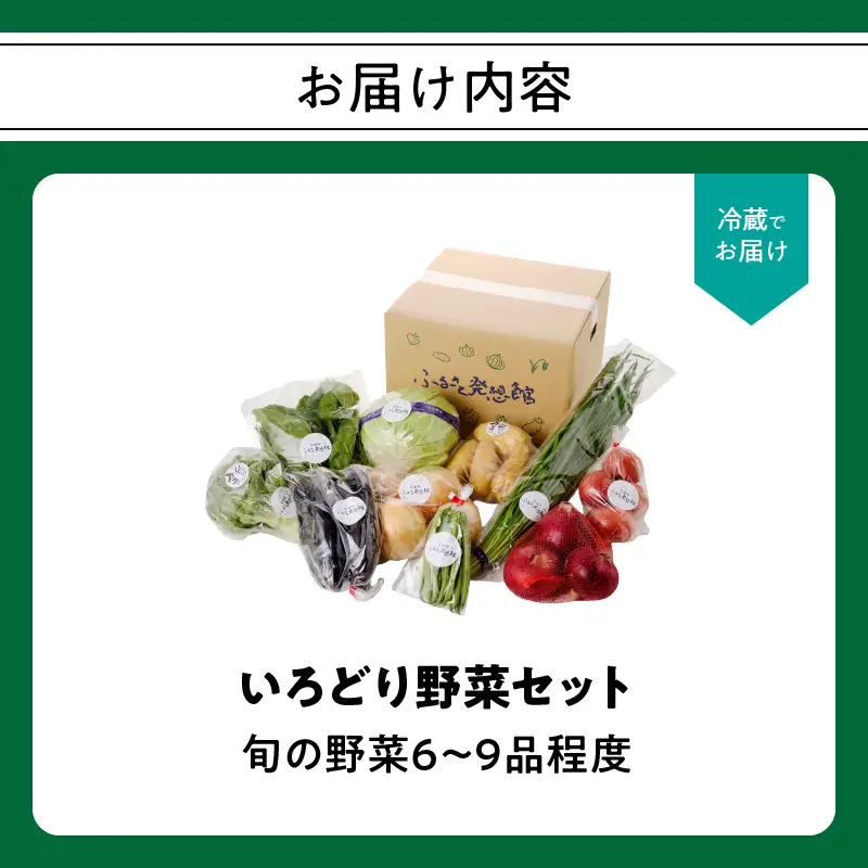 いろどり野菜セット ／ 旬 野菜 【A049】