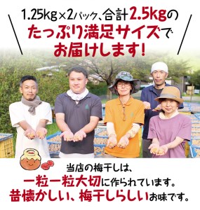 ＼たっぷり2.5kg／ 紀州南高梅 昔ながらの完熟南高梅使用梅干し 1.25kg×2パック / 梅 梅干し 梅干 訳あり わけあり ワケアリ 昔ながら 無添加 塩分濃度約20％ 無添加人気 大容量 大粒 お米 おにぎり梅酒 健康 【njb647】