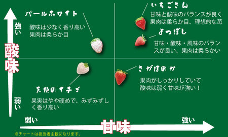 【先行予約】R9年1月中旬頃出荷開始 佐賀ブランド苺「いちごさん」合計500g （250g×2セット）いちご 凛々 A075-035
