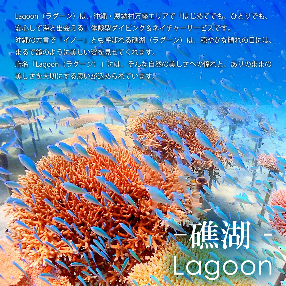 沖縄ダイビングサービス Lagoon商品券「3,000円分」