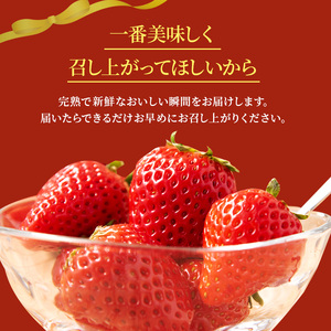 先行予約 【いちご 完熟 3種 食べ比べ 約1080g(270g× 4パック ) セット 古都華 奈乃華 あすかルビー 詰め合わせ フルーツ 果物 旬 産地直送 デザート ことか 冷蔵 冷蔵配送 BN001